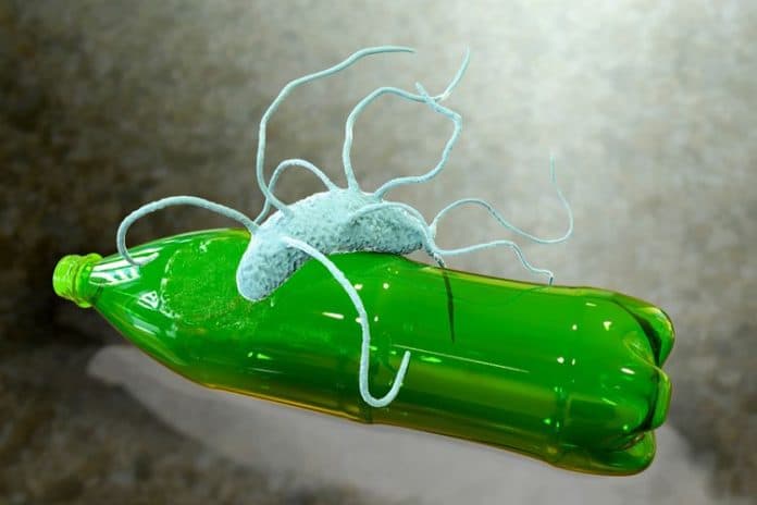 wow_ilmuwan_temukan_bakteri_pemakan_plastik