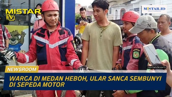 newsroom_warga_di_medan_heboh_ular_sanca_sembunyi_di_sepeda_motor