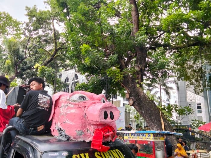 may_day_miniatur_kepala_babi_berbahan_gabus_sintetis_ditunjukkan_ke_dprd_sumut
