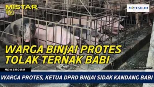 newsroom_warga_protes_ketua_dprd_binjai_sidak_kandang_babi