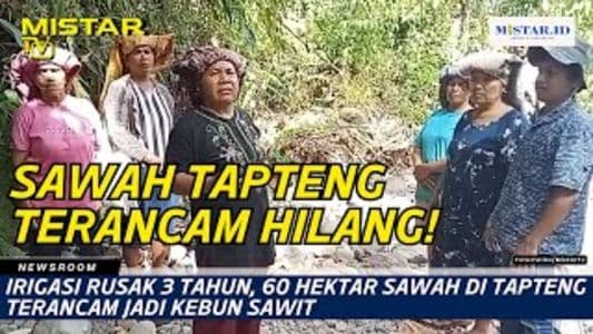 newsroom_irigasi_rusak_3_tahun_60_hektar_sawah_di_tapteng_terancam_jadi_kebun_sawit