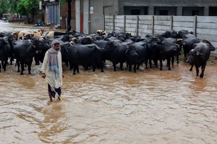 pakistan_dilanda_banjir_terburuk_ribuan_hektar_lahan_pertanian_rusak_dan_ekonomi_terancam