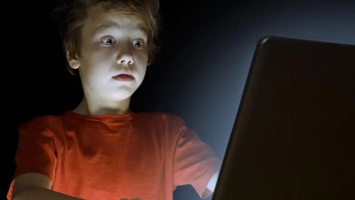 indonesia_darurat_konten_bahaya_prabowo_perintahkan_percepat_aturan_perlindungan_anak_di_dunia_digital