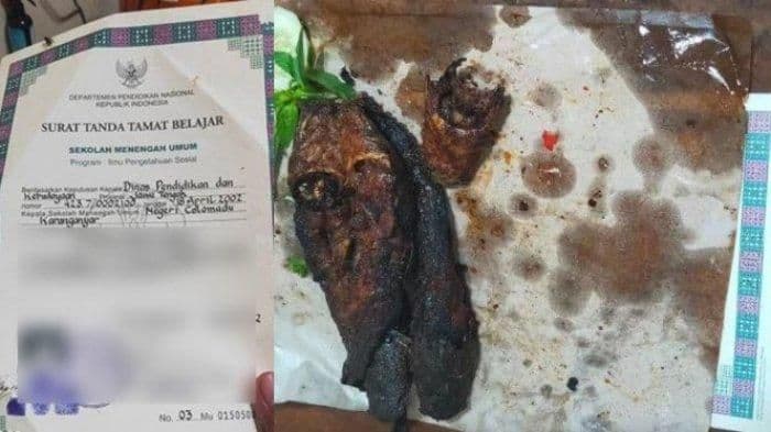 viral_ijazah_dijadikan_bungkus_lele_bakar