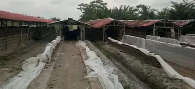 harga_tanah_bahan_baku_batu_bata_di_deli_serdang_naik_rp100_ribu