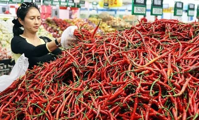deflasi_sumut_mei_2025_cabai_merah_penyumbang_utama