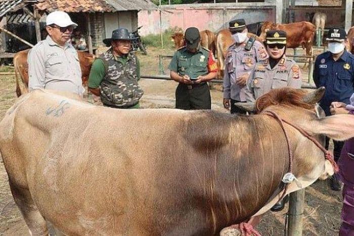 presiden_prabowo_beli_sapi_kurban_milik_gubernur_dedi_mulyadi