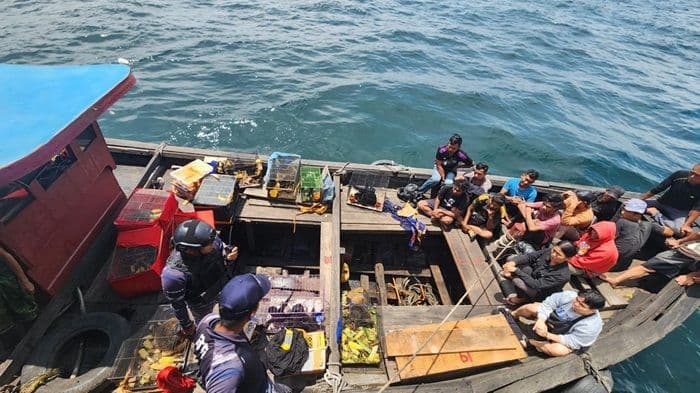 tni_al_gagalkan_penyelundupan_pmi_dan_satwa_langka_di_selat_malaka
