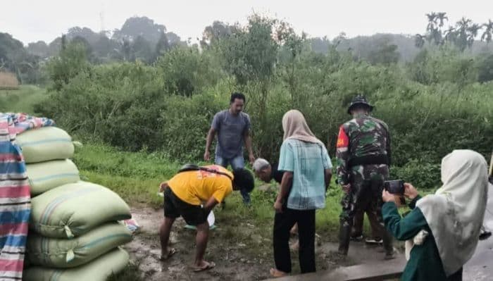 hingga_mei_2025_bulog_siantar_serap_4456_ton_gabah
