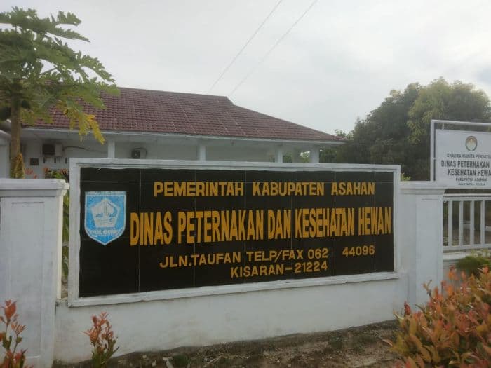 jelang_iduladha_dinas_peternakan_dan_kesehatan_hewan_asahan_intensifkan_pengawasan