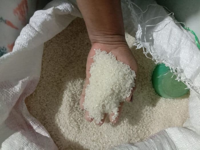 harga_beras_di_toba_stabil_produksi_petani_alami_surplus
