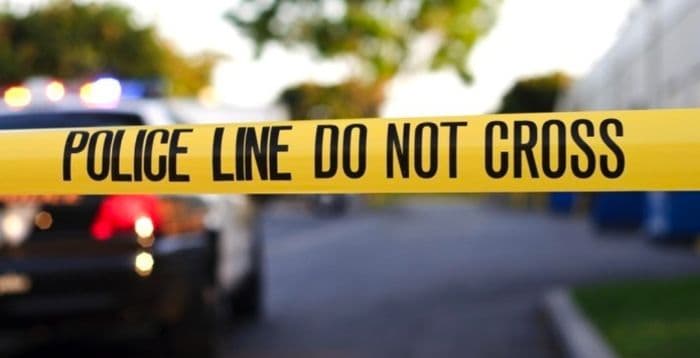 bawa_balita_dalam_koper_wanita_di_selandia_baru_ditangkap_