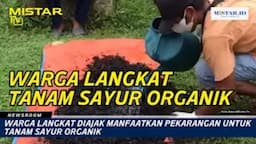 newsroom_warga_langkat_diajak_manfaatkan_pekarangan_untuk_tanam_sayur_organik
