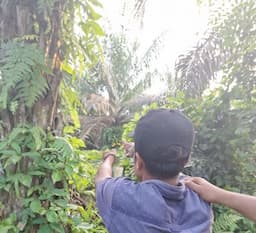 ninja_sawit_ptpn_iv_bah_jambi_simalungun_dibekuk