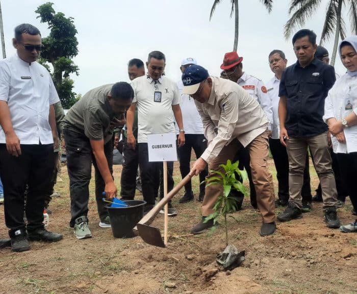 250_bibit_pohon_ditanam_di_geosite_sibaganding_upaya_raih_green_card_unesco