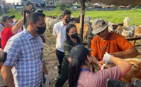 pastikan_kesehatan_hewan_kurban_dkp3_medan_lakukan_pemeriksaan_ke_pengepul