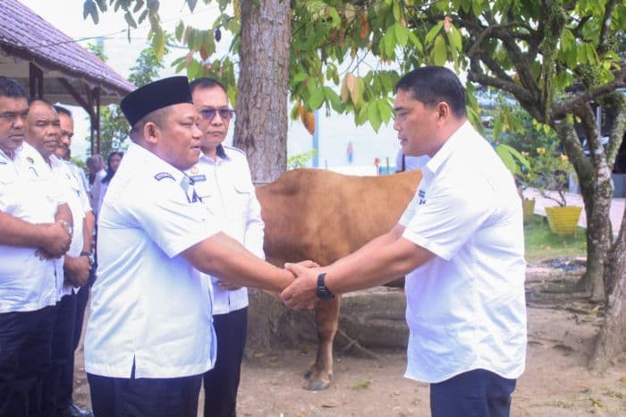 wakil_bupati_labuhanbatu_serahkan_sapi_kurban_bantuan_gubernur_sumut_ke_lapas_rantauprapat