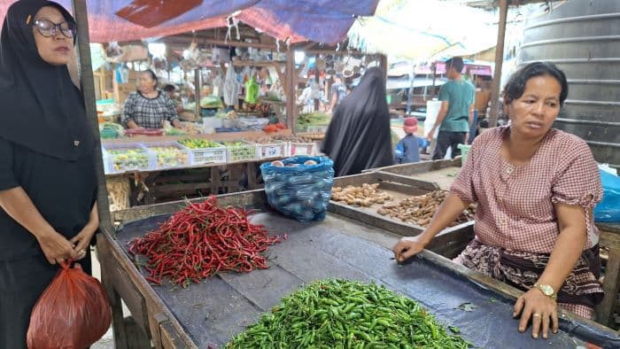 harga_bawang_merah_di_medan_tembus_rp60000_per_kg_cabai_rawit_ikut_naik_