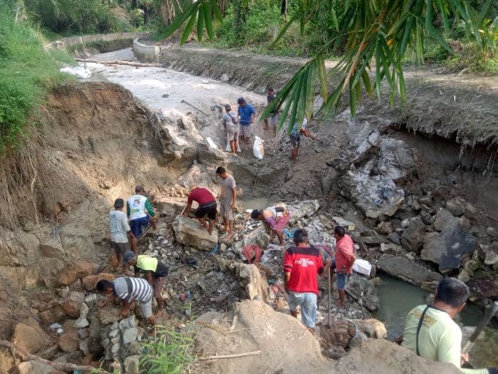 saluran_irigasi_jebol_di_hutabayu_raja_ratusan_hektare_sawah_terdampak