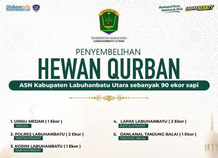 90_ekor_lembu_kurban_asn_pemkab_labura_disalurkan_hingga_ke_medan