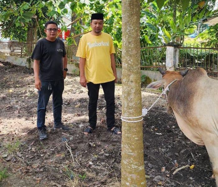 bupati_deli_serdang_serahkan_lembu_kurban_kepada_partai_golkar_