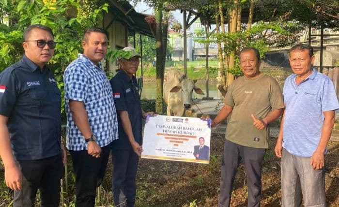 martin_manurung_kurban_2_ekor_lembu_di_labura_ini_komentar_warga
