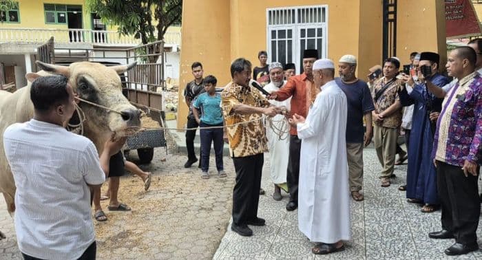 masjid_raya_binjai_terima_sapi_kurban_presiden_pertama_kali_sejak_berdiri_140_tahun_lalu