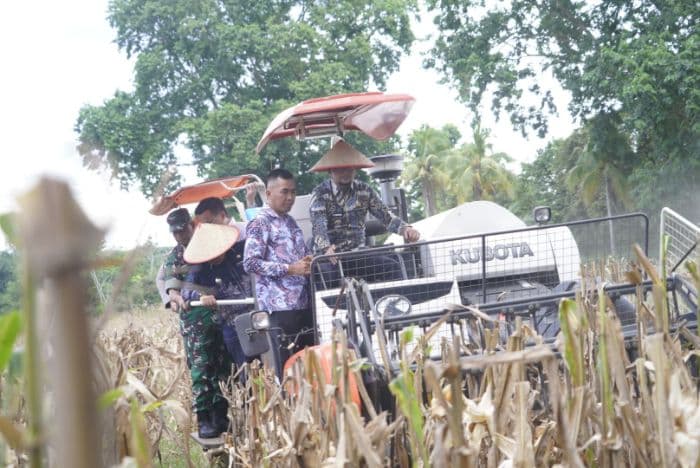 panen_raya_jagung_serentak_di_labusel_bupati_semoga_kesejahteraan_petani_meningkat