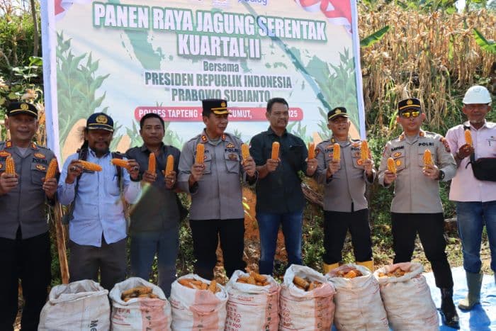 polres_tapteng_panen_raya_jagung_tahap_ii_hasilkan_6_ton_