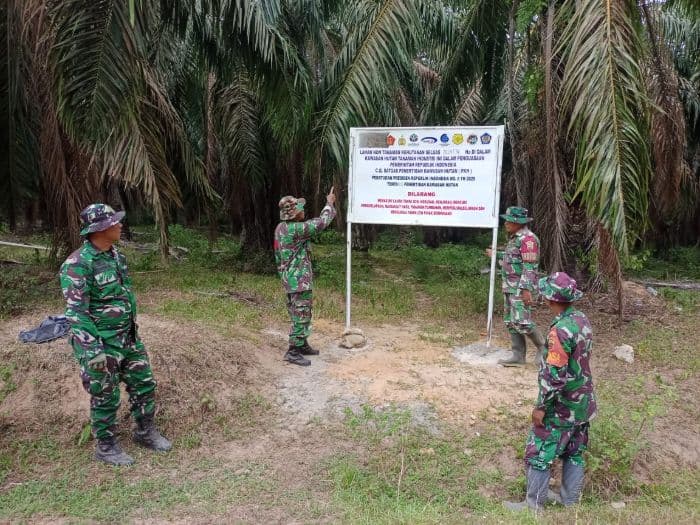 babinsa_koramil_06dolok_cek_plang_satgas_pkh_di_perkebunan_pt_ssl_pastikan_penertiban_kawasan_hutan_berjalan_lancar