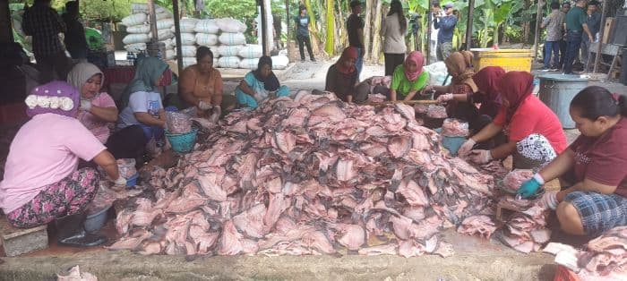 warga_sergai_olah_tulang_ikan_tilapia_jadi_pakan_ternak_berkualitas_tinggi