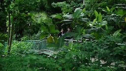 hutan_kota_babakan_siliwangi_ditutup_sementara_90_hari_untuk_renovasi_