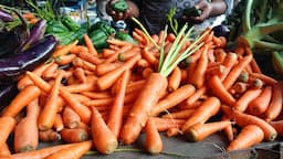 pengaruh_mbg_harga_komoditas_pangan_di_langkat_mulai_naik