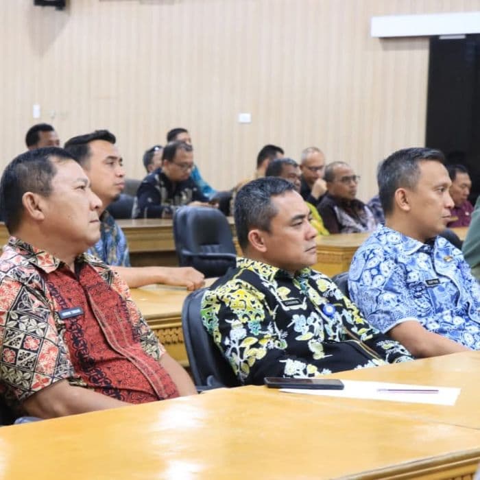 laporan_keuangan_pemko_binjai_tahun_2024_diperiksa_bpk_ri