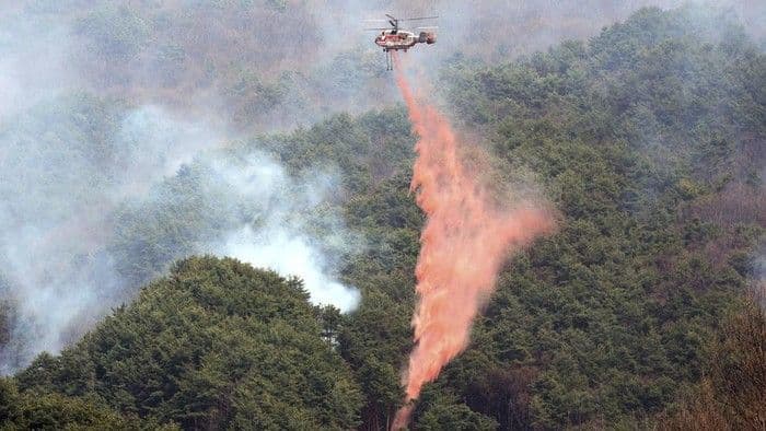 helikopter_pemadam_kebakaran_jatuh_di_korsel_pilot_tewas