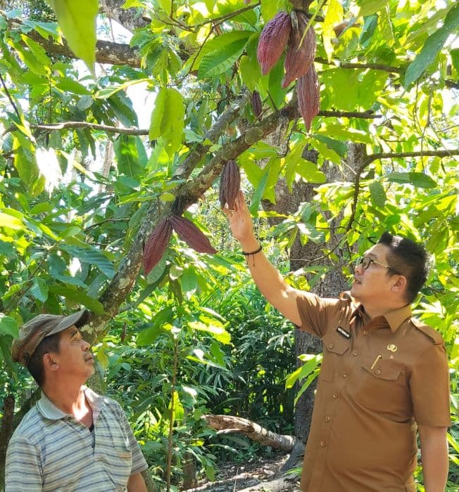 tangani_hama_tanaman_dinas_pertanian_dairi_dorong_penggunaan_pestisida_nabati