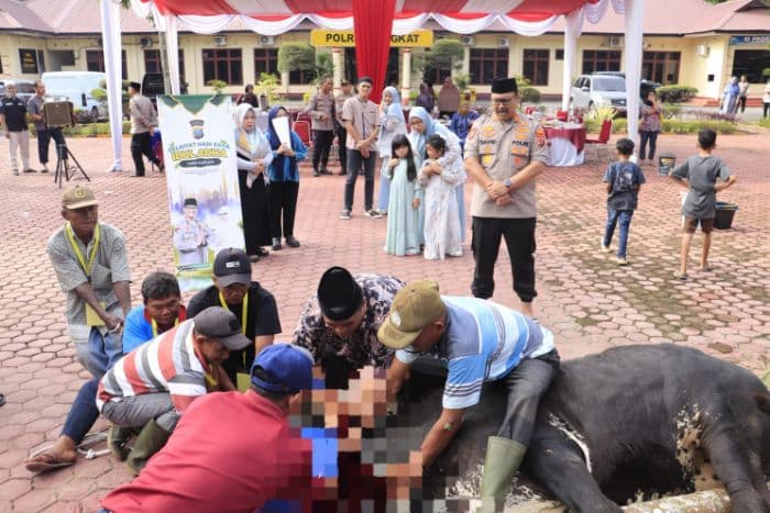 _sembelih_hewan_kurban_di_iduladha_kapolres_langkat_bukan_hanya_wujud_ibadah