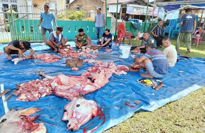 deli_serdang_sembelih_10073_hewan_kurban_saat_iduladha_1446_h