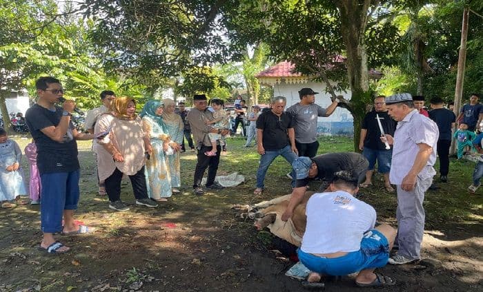 dishub_medan_sembelih_sembilan_hewan_kurban_di_idul_adha_1446_h_satu_ke_pertuni