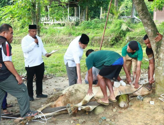 polres_binjai_sembelih_16_hewan_kurban_bagikan_daging_ke_warga_dan_panti_asuhan