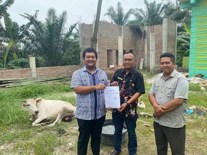 ptpn_i_regional_1_salurkan_dua_ekor_lembu_kurban_untuk_warga_sekitar_kebun