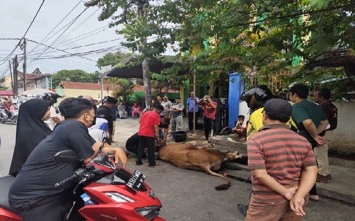 wakil_wali_kota_herlina_tegaskan_nilai_pengorbanan_idul_adha_di_pematangsiantar