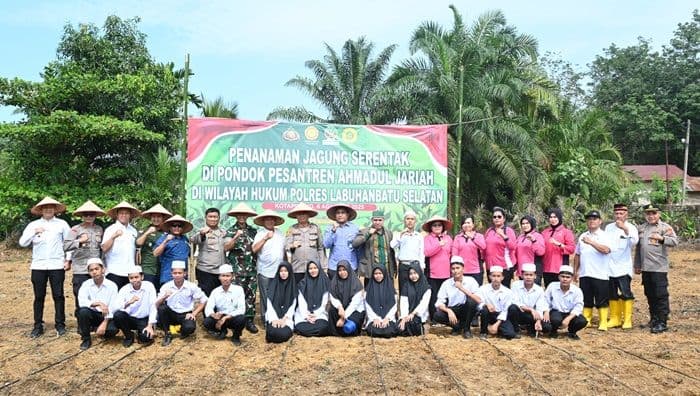 polres_labusel_dan_forkopimda_gelar_penanaman_jagung_di_ponpes_ahmadul_jariah_untuk_dukung_ketahanan_pangan
