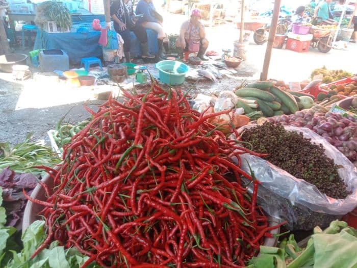 harga_andaliman_di_toba_melonjak_jadi_rp260_ribu_per_kg_cabai_merah_ikut_naik