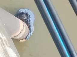 seorang_wanita_diduga_hendak_bunuh_diri_di_jembatan_wampu_langkat