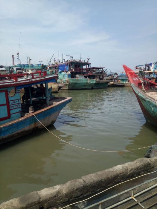 harga_ikan_laut_di_medan_naik_tajam_ini_sebabnya