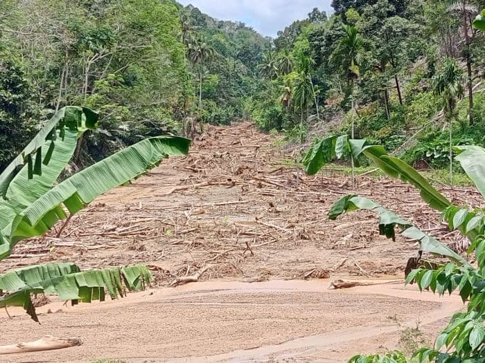 petani_aek_bayur_terancam_tak_bisa_tanam_padi_lagi