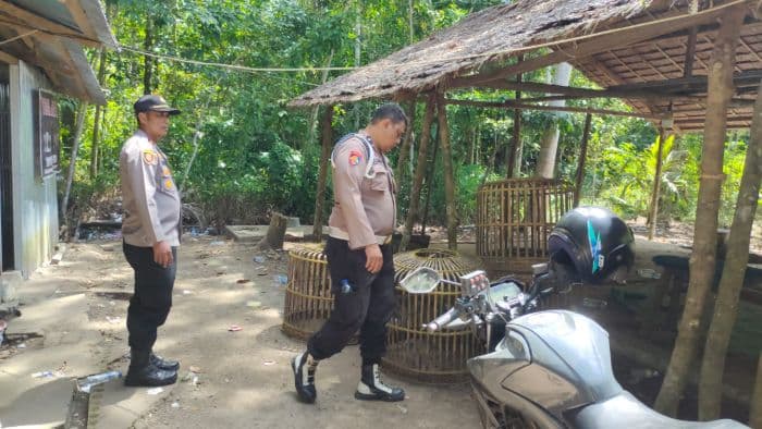 polisi_gerebek_lokasi_judi_sabung_ayam_di_desa_lasara_bagawu_nias_barat