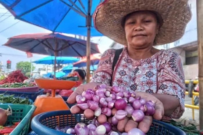 harga_bawang_merah_naik_dprd_sumut_minta_dinas_ketapang_segera_berikan_subsidi_ke_petani