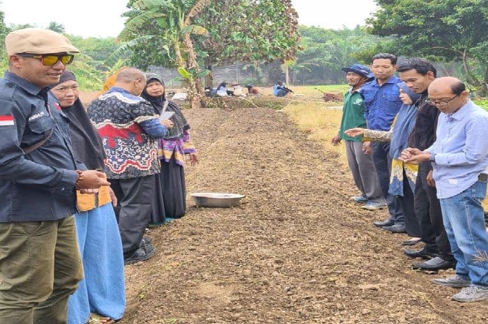 dinas_pertanian_binjai_salurkan_bibit_bawang_merah_dukung_ketahanan_pangan_lokal